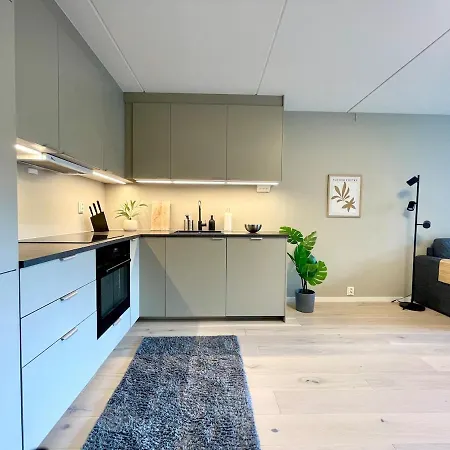 Renovated 2025, Lux * Осло